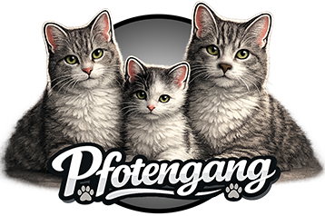 🐾 Pfotengang